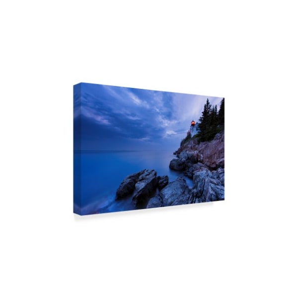 Michael Blanchette Photography 'Blue Knight' Canvas Art,30x47